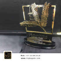 year of tolerance 3d trophies